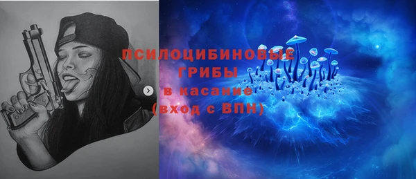 соль ск Богородицк
