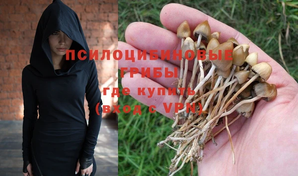 соль курить ск Богородск