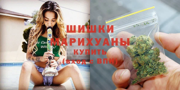 гидра Белокуриха
