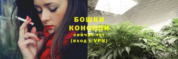соль ск Богородицк