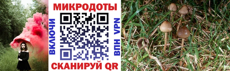 Купить  Лакинск  Галлюциногенные грибы GOLDEN TEACHER 
